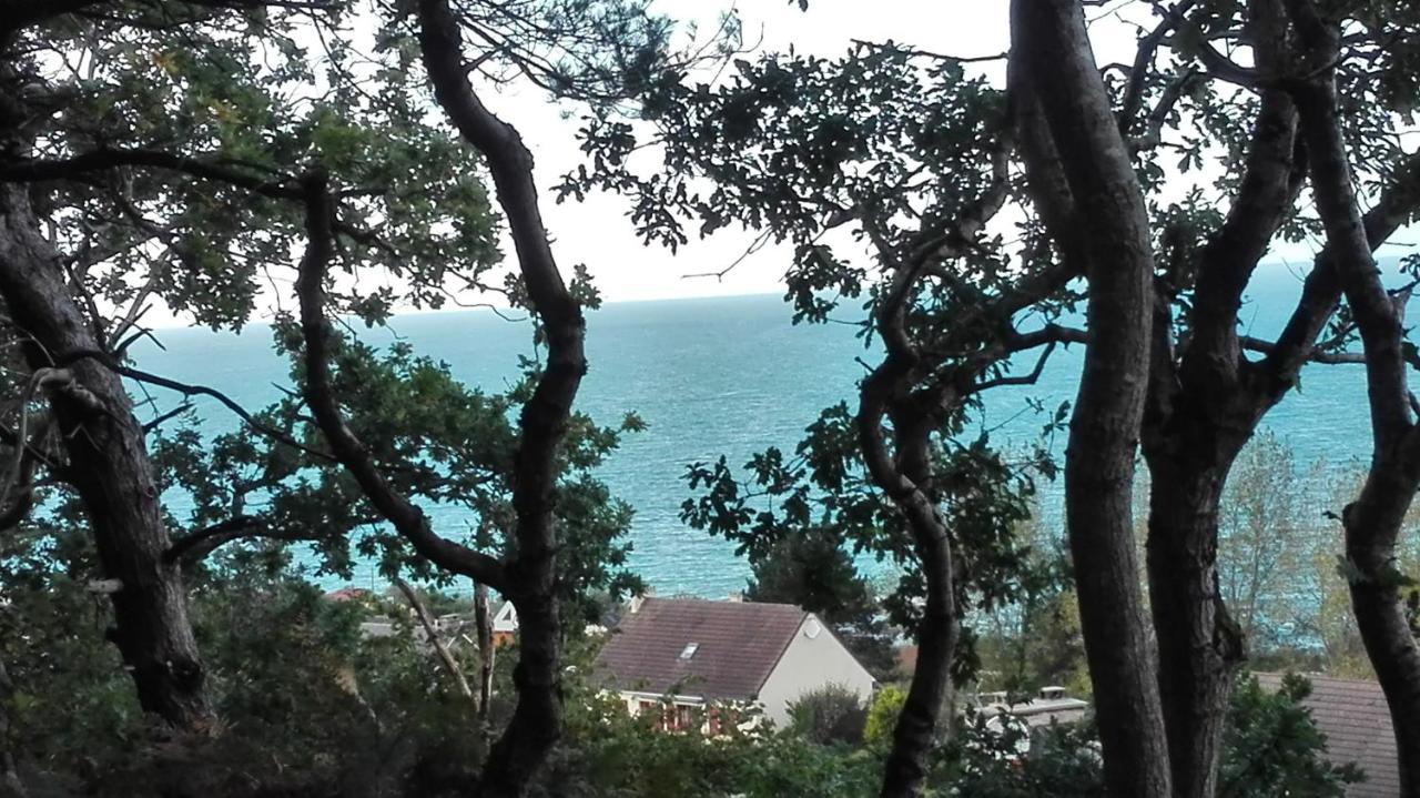 Au Courtil Des Chenes Marins, Meuble 3 Etoiles Βίλα Digosville Εξωτερικό φωτογραφία